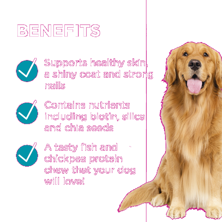 Paw Coat, Skin & Nails Chews 300g 