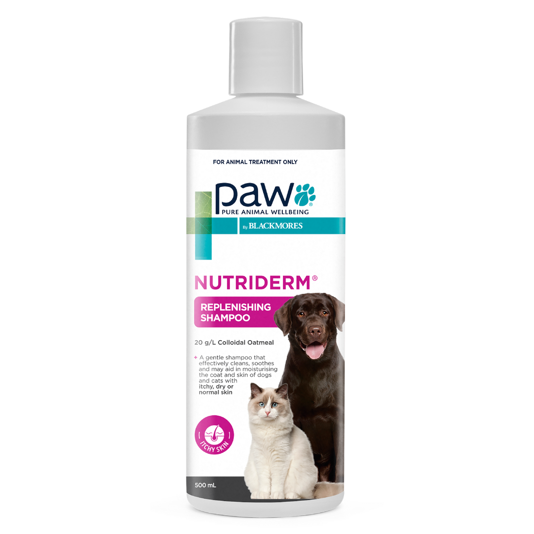 Paw Shampoo Nutriderm 500ml
