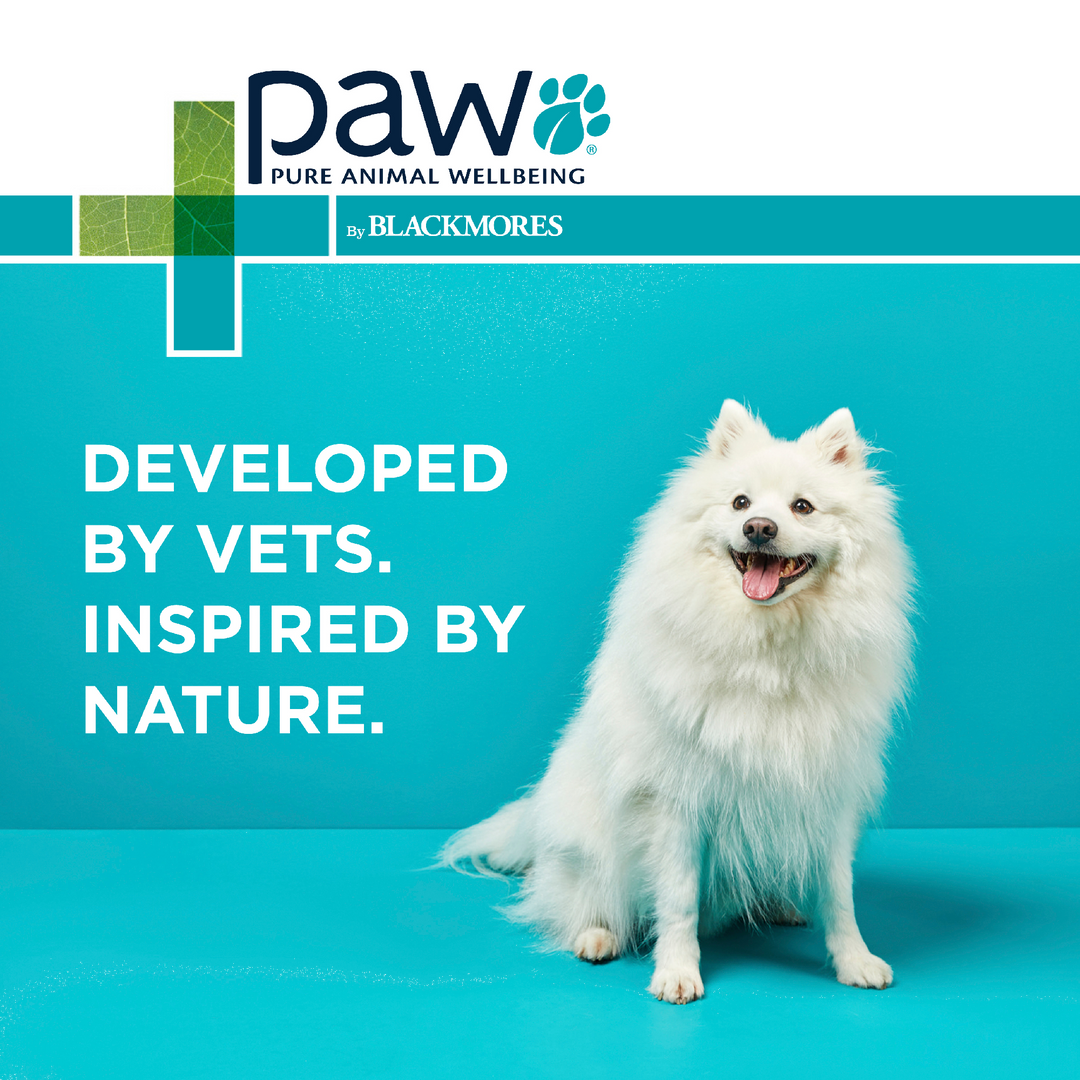 Paw Shampoo Nutriderm 500ml