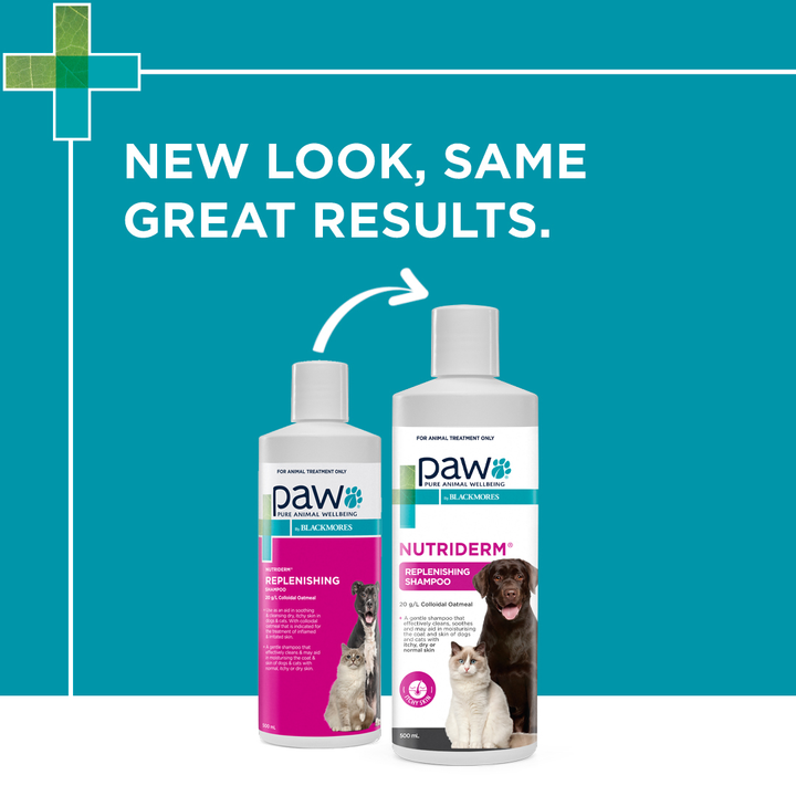 Paw Shampoo Nutriderm 500ml
