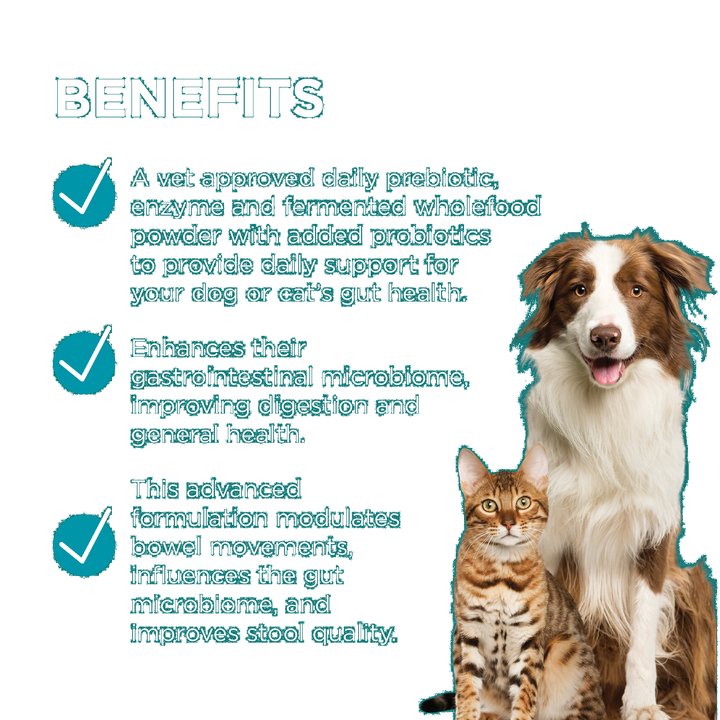 Paw Digesticare 143g