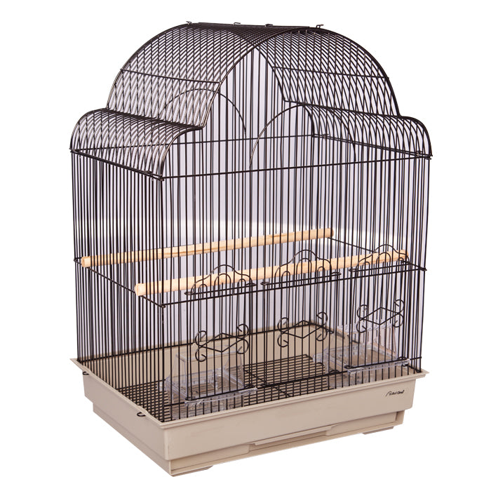 Avi One Bird Cage Fancy Top 355p