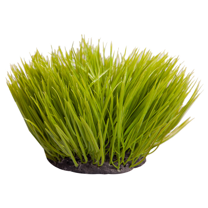 Reptile One Plant Spinifex Green Round 30cm