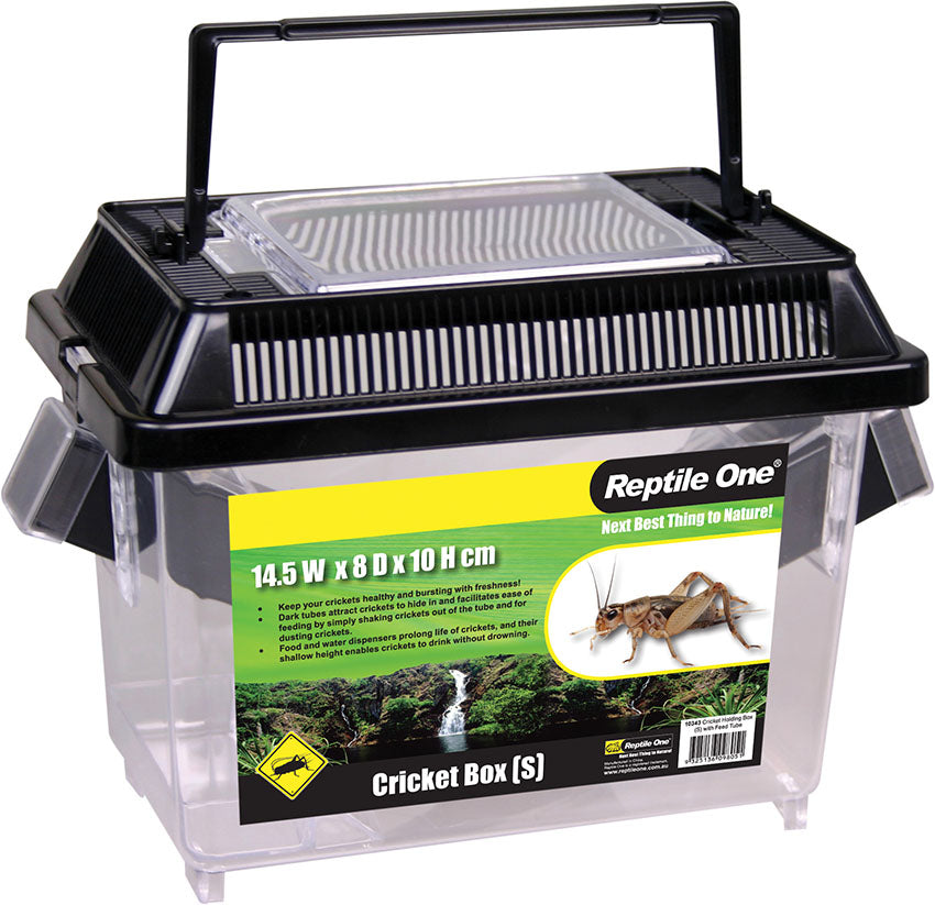 Reptile One Cricket Hold Box Small