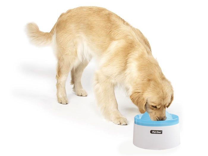 Pet One Fountain Fresh Drinking Bowl Blue