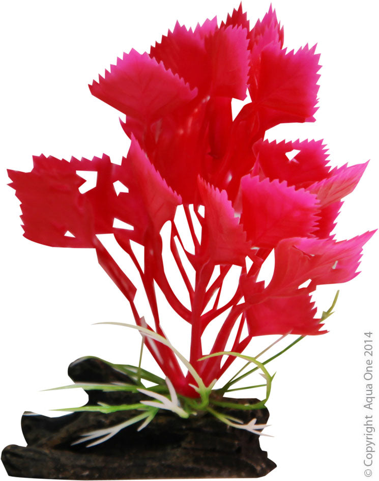 Aqua One Plants Plastic W/log Base Red Variegated Hygrophila S