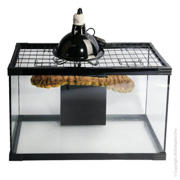 Reptile One Turtle Tank Nursery Kit 60lx30dx37h