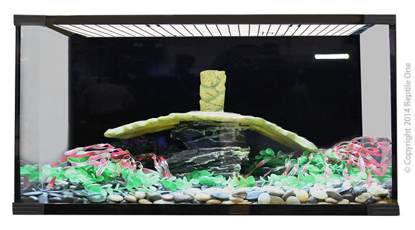 Reptile One Turtle Tank Eco120 120lx60dx50h