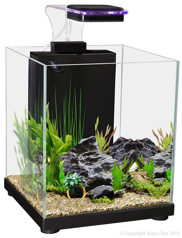 Aqua One Betta Tank Sanctuary Glass 10l Black 22wx22dx26cm