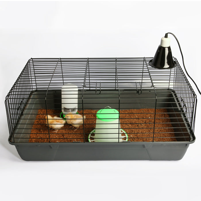 Pet One Your First Chicken Starter Kit 