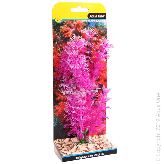 Aqua One Plants Brightscape Medium Ambulia Pink