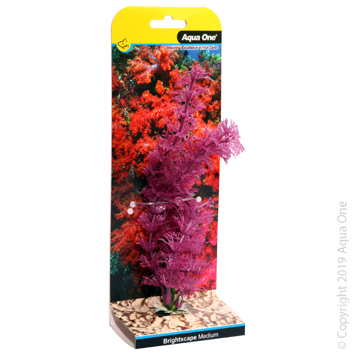 Aqua One Plants Brightscape Medium Ambulia Purple