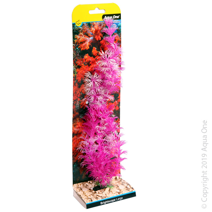 Aqua One Plants Brightscape Large Ambulia Pink