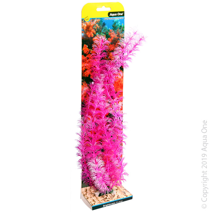 Aqua One Plants Brightscape Extra Large Ambulia Pink