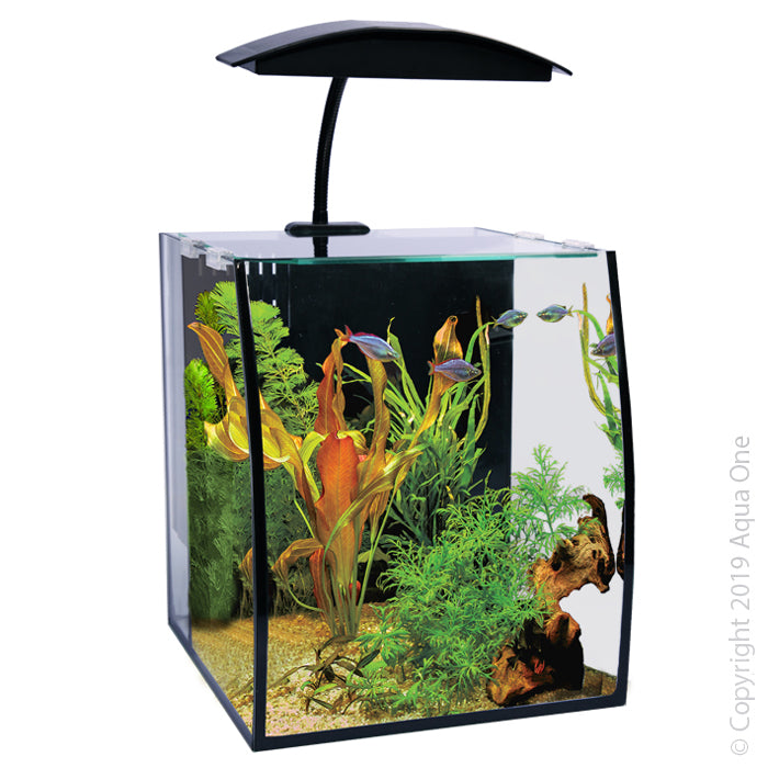 Aqua One Aquarium Arc 16 16l 25cm