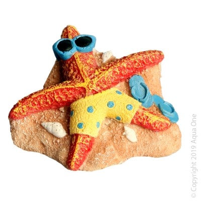 Aqua One Ornament Starfish On Beach 8.5x7x5cm