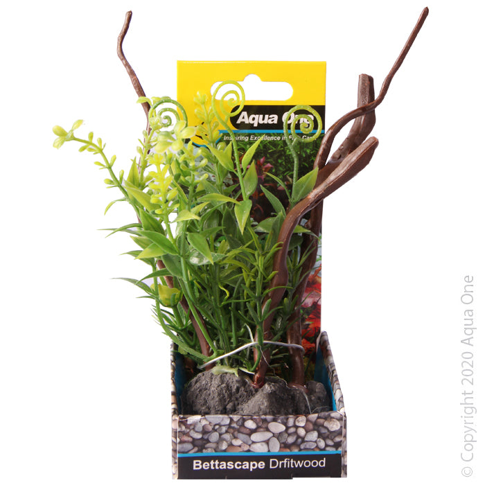 Aqua One Plants Bettascape Spinning Grove On Driftwood Green