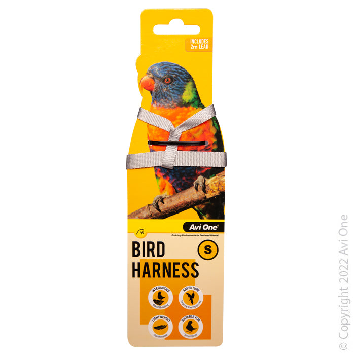 Avi One Bird Harness With Shock Resistence Lead Small