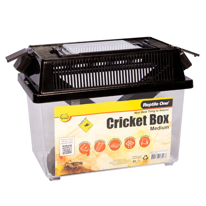 Reptile One Cricket Hold Box Medium 46071