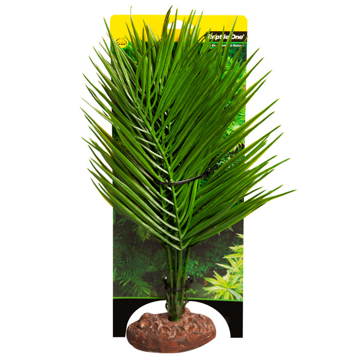 Reptile One Plant Large Palor Palm Green With Ceramic Base