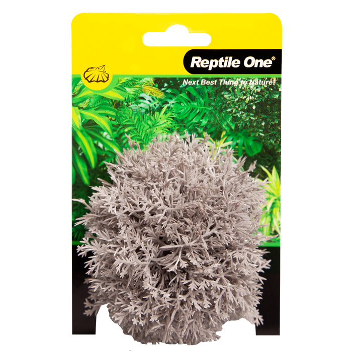Reptile One Plant Mini Sphagnales Grey With Ceramic Base