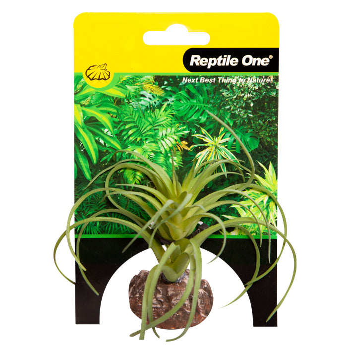 Reptile One Plant Mini Exserta Green With Ceramic Base