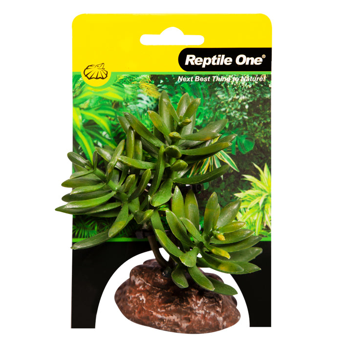 Reptile One Plant Mini Senecio Green With Ceramic Base