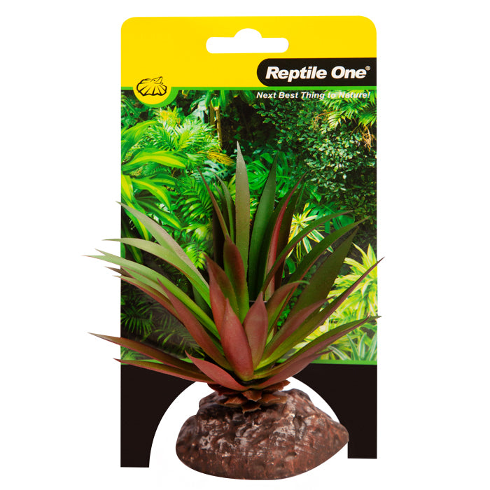 Reptile One Plant Mini Crassula Green Red With Ceramic Base