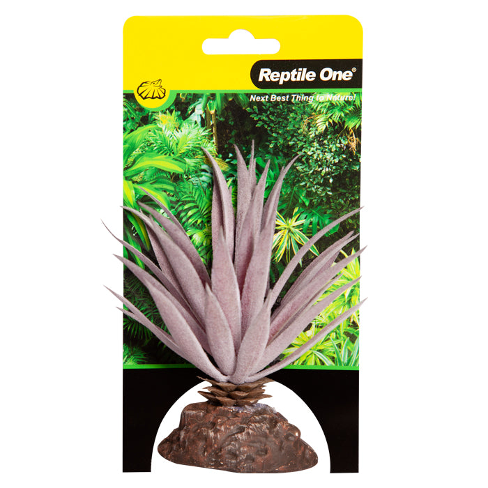 Reptile One Plant Mini Ionantha Red With Ceramic Base