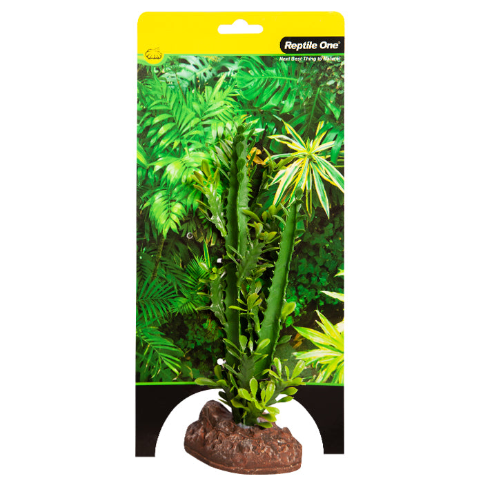 Reptile One Plant Md Euphorbia Trigona Green With Ceramic Base