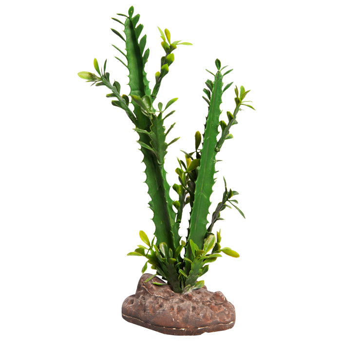 Reptile One Plant Md Euphorbia Trigona Green With Ceramic Base