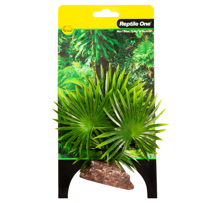 Reptile One Plant Small Fan Palm Green With Ceramic Base
