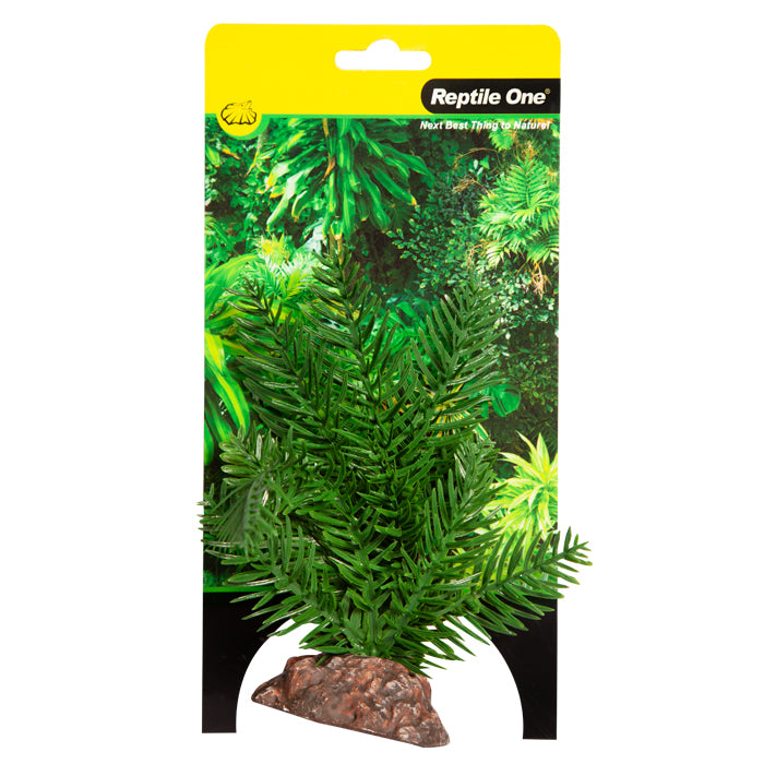 Reptile One Plant Sago Palm With Ceramic Base Small 