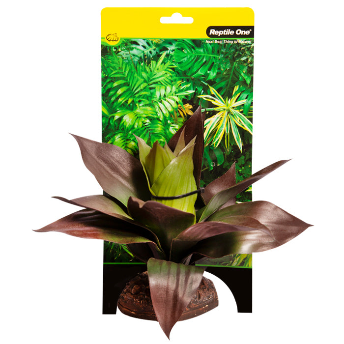 Reptile One Plant Medium Spathacea Green /red With Ceramic Base