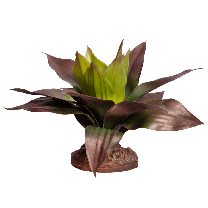 Reptile One Plant Medium Spathacea Green /red With Ceramic Base