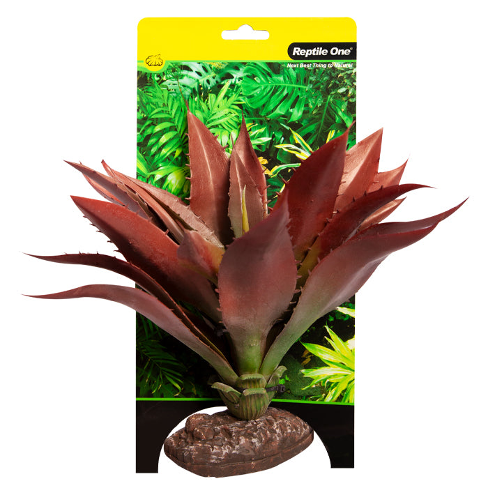 Reptile One Plant Medium Aloe Red Green With Ceramic Base