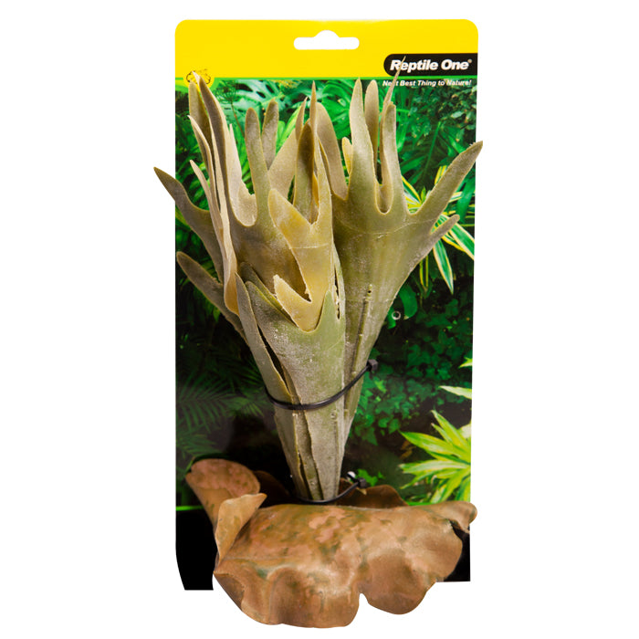 Reptile One Plant Medium Platycerium Green With Ceramic Base