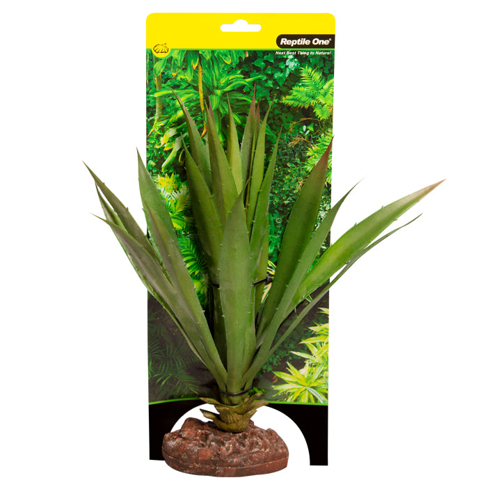 Reptile One Plant Large Succotrina Green With Ceramic Base