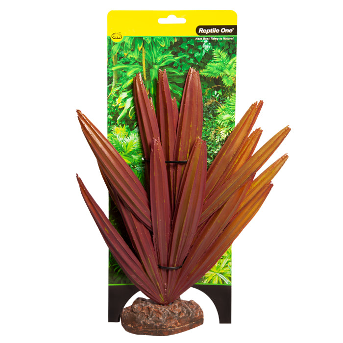 Reptile One Plant Large Chambeyronia Red With Ceramic Base