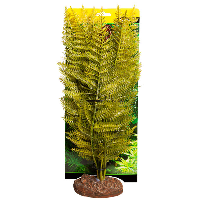 Reptile One Plant Eagle Fern Large With Ceramic Base
