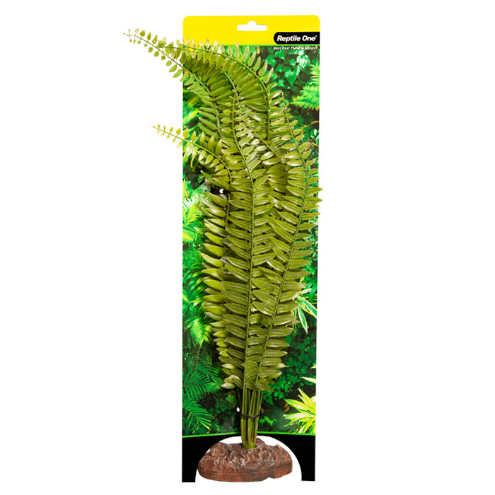 Reptile One Plant Fern Large Green With Ceramic Base