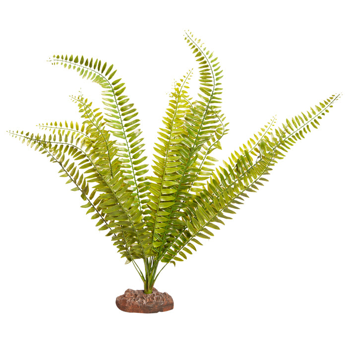 Reptile One Plant Fern Large Green With Ceramic Base