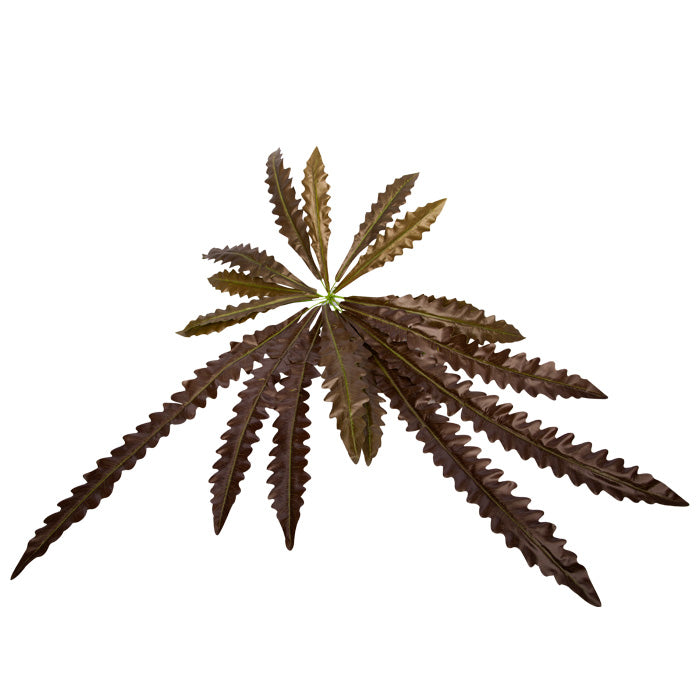 Reptile One Plant Hanging Birds Nest Fern Red/green W/suction Cup 90cm