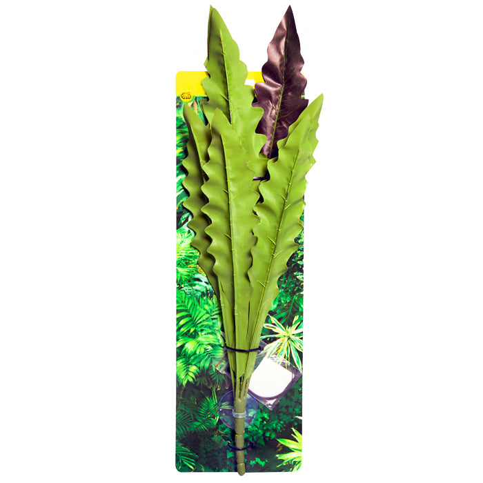 Reptile One Plant Hanging Birds Nest Fern Red/green W/suction Cup 40cm