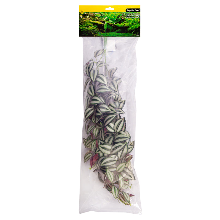 Reptile One Plant Hanging Tradescantia Green/silver W/suction Cup 70cm