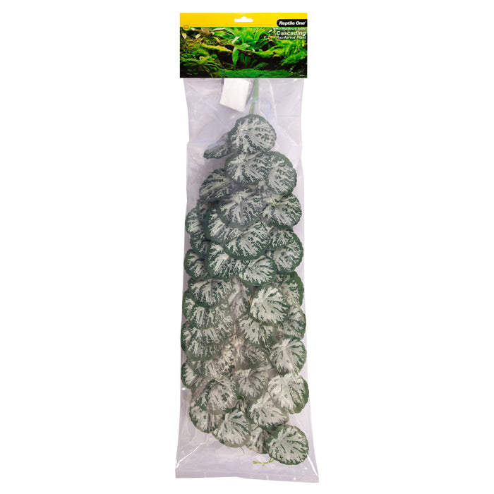 Reptile One Plant Hanging Brunnera Green/silver W/suction Cup 70cm