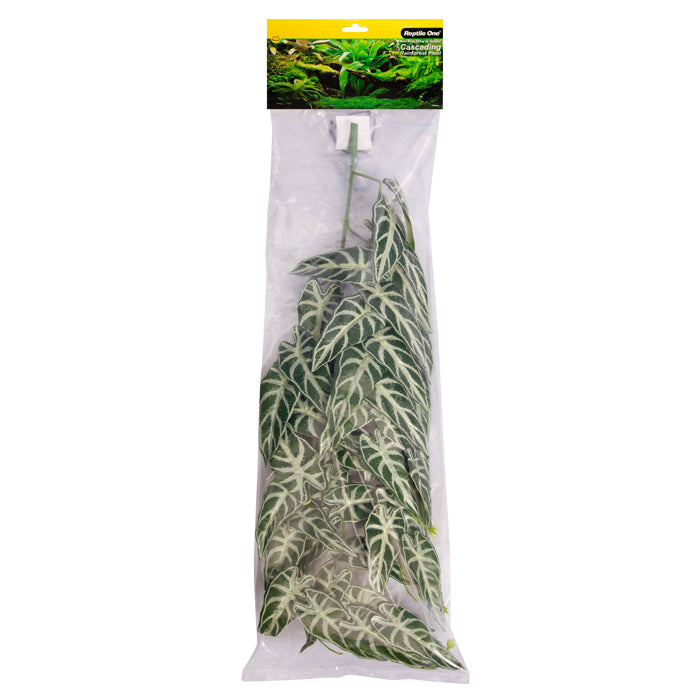 Reptile One Plant Hanging Alocasia Green W/suction Cup 70cm