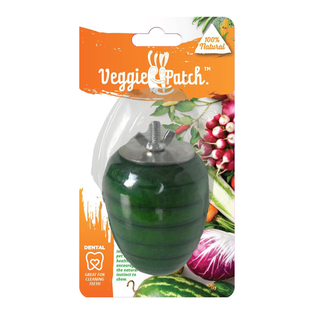 Veggie Patch Apple To Gnaw 