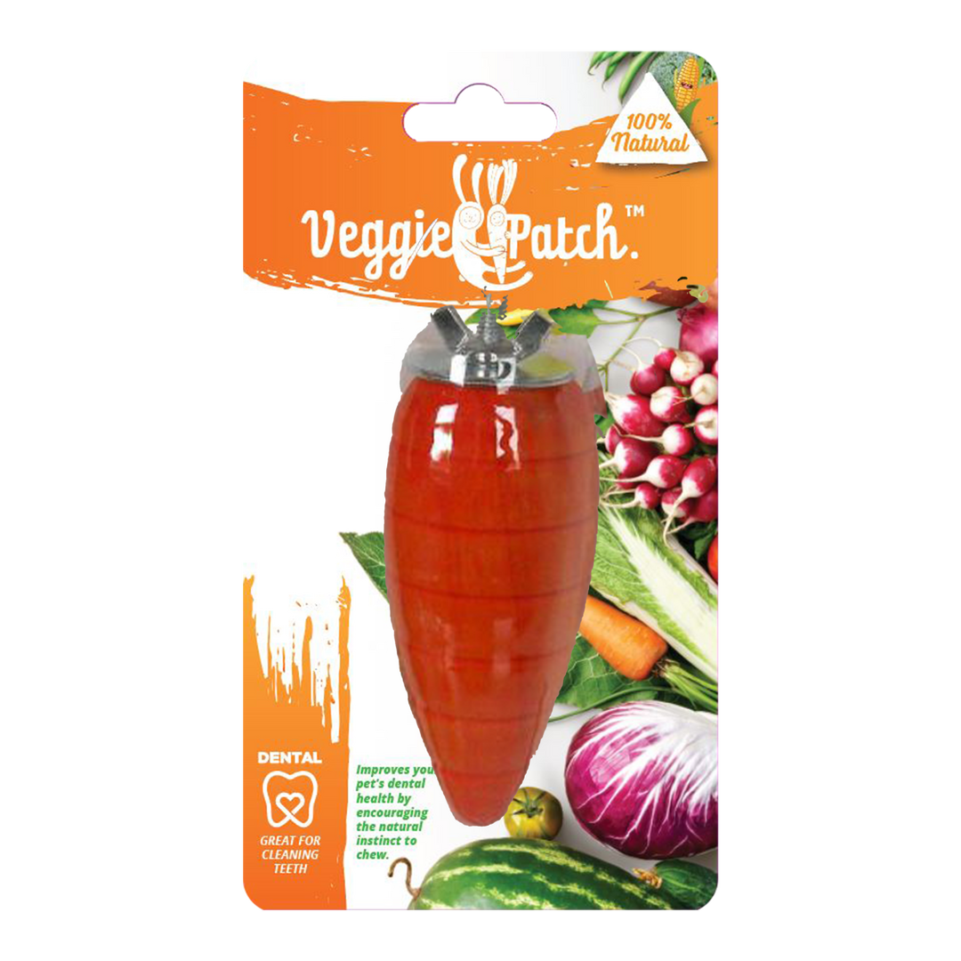 Veggie Patch Carrot To Gnaw 