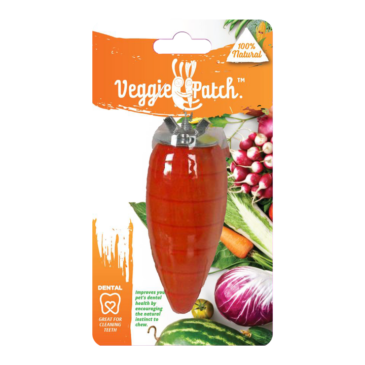 Veggie Patch Carrot To Gnaw 